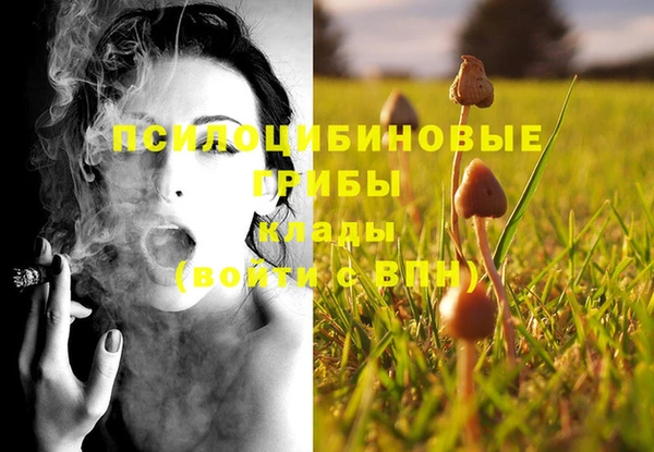 спиды Армянск