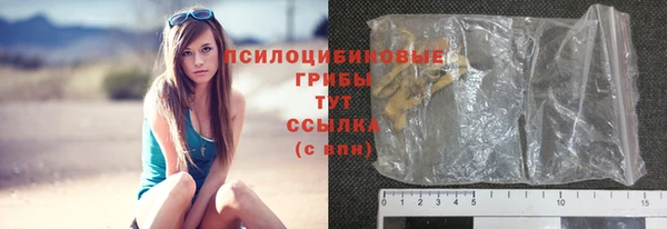 мяу мяу мука Аркадак