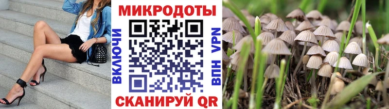 Галлюциногенные грибы Magic Shrooms Пустошка